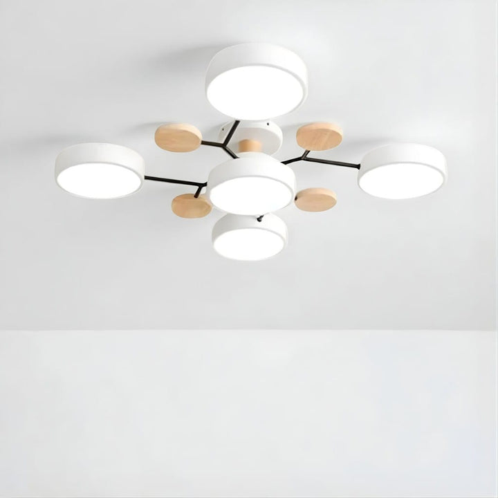 Orbitra Multi Head Circular Living Room Ceiling Light Boldenn