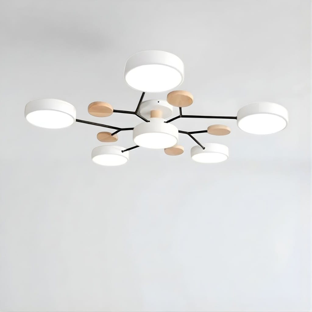 Orbitra Multi Head Circular Living Room Ceiling Light Boldenn