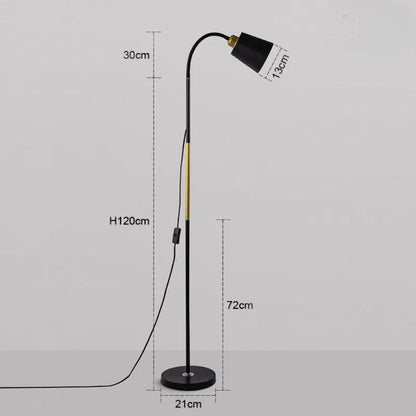 Standing Floor Lamp with Adjustable Lamp Head Boldenn