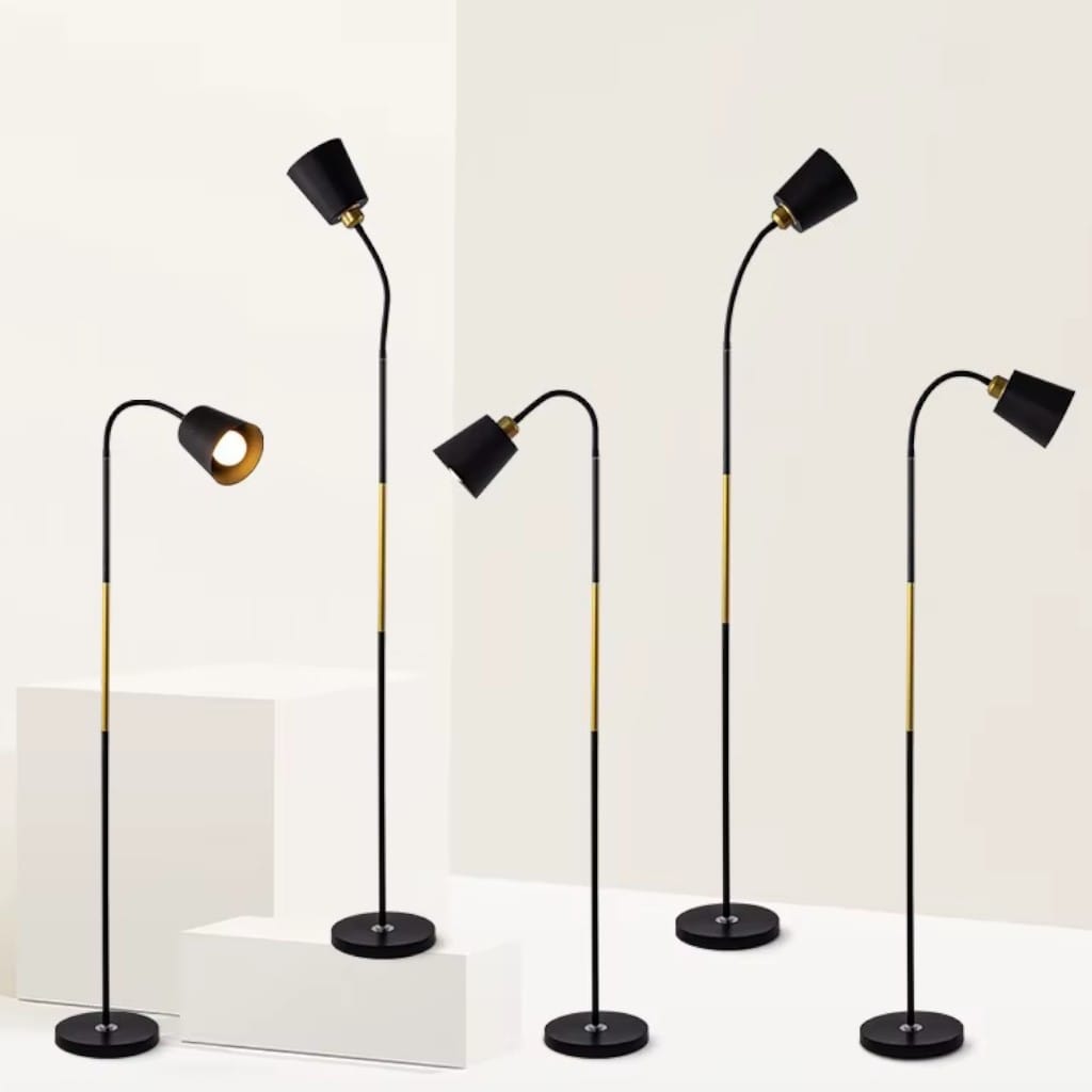 Standing Floor Lamp with Adjustable Lamp Head Boldenn
