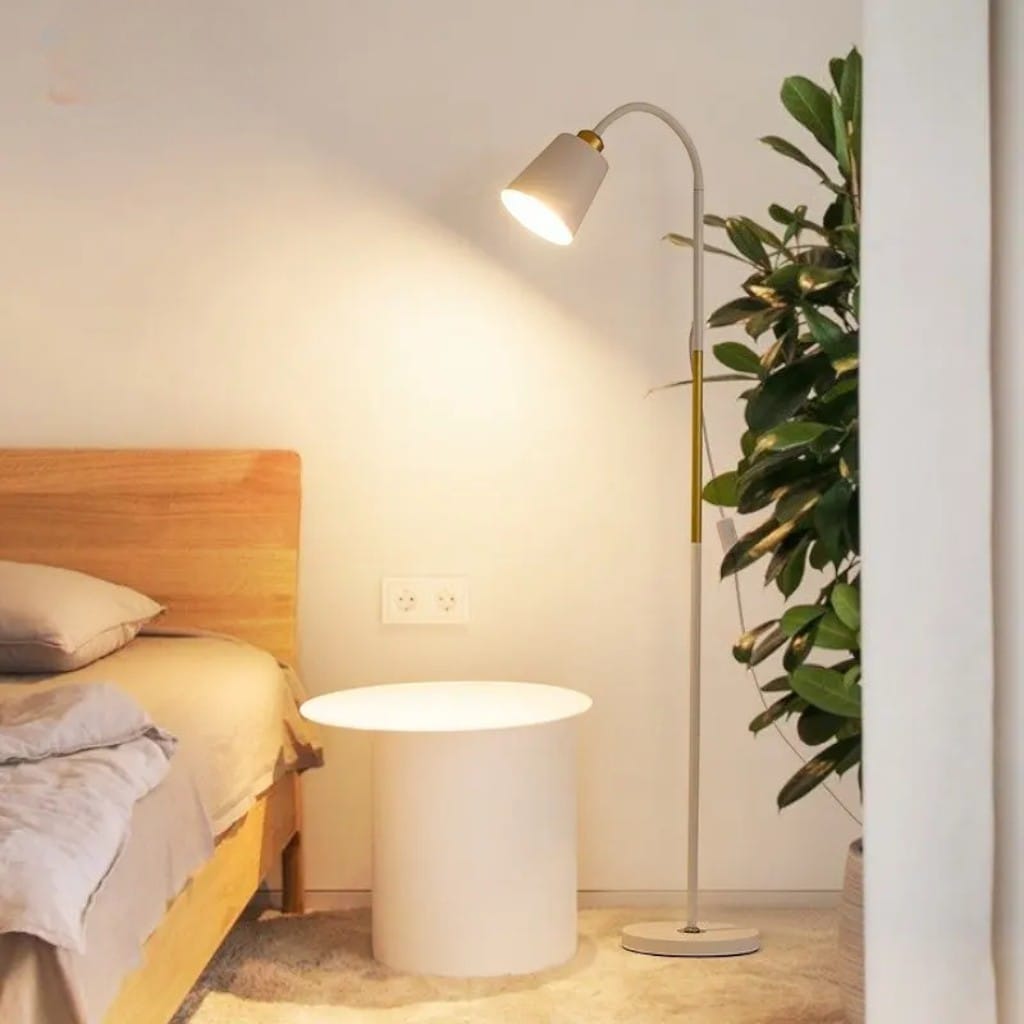 Standing Floor Lamp with Adjustable Lamp Head Boldenn
