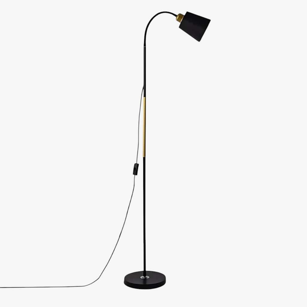 Standing Floor Lamp with Adjustable Lamp Head Boldenn