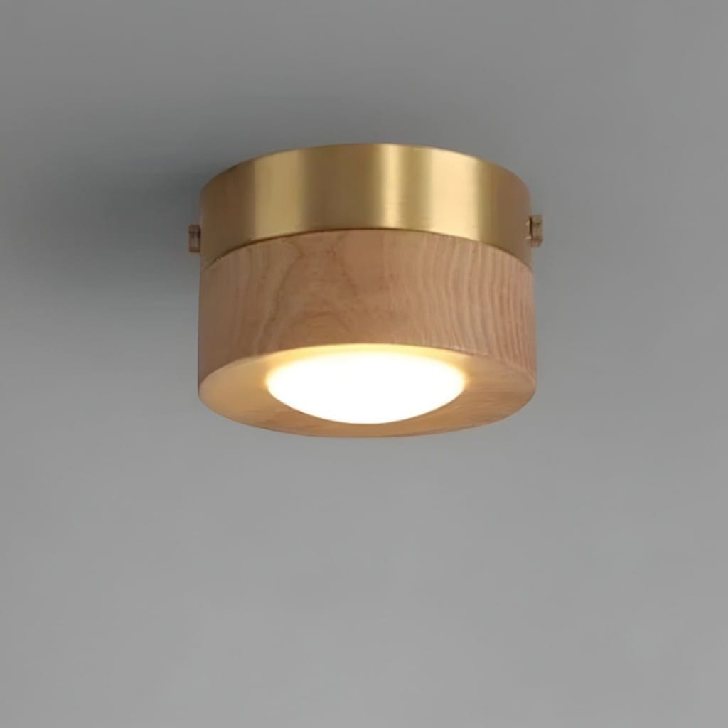 Walnut Wood Surface Mounted LED Light Boldenn