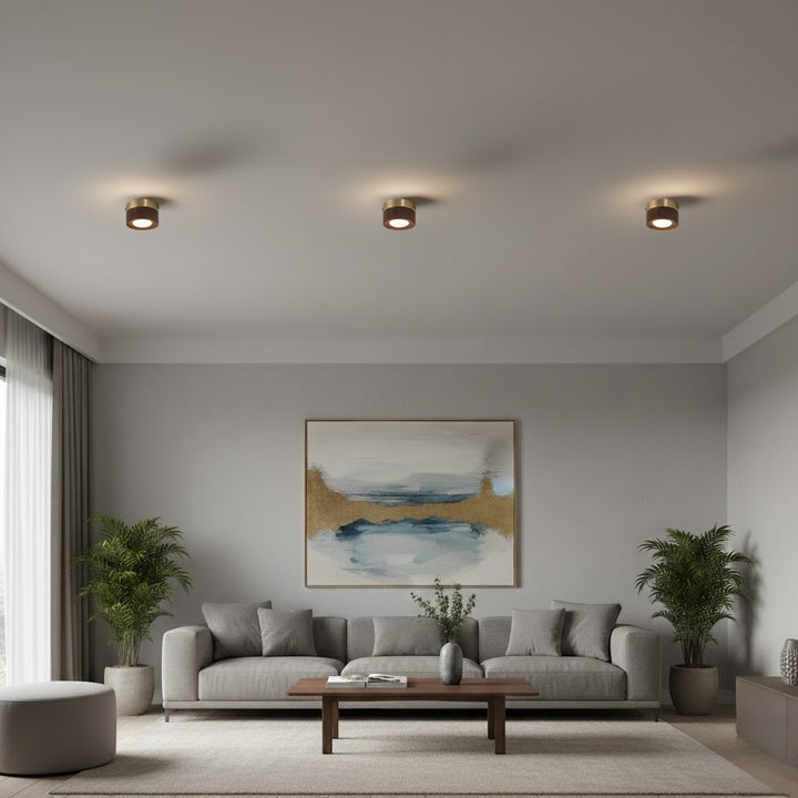 Walnut Wood Surface Mounted LED Light