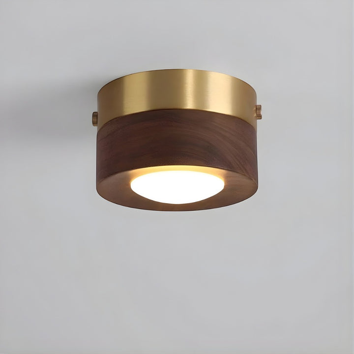Walnut Wood Surface Mounted LED Light